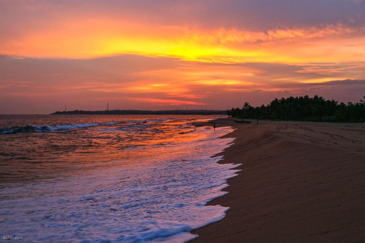 Neem Jay Beach Resort Tangalle Exterior foto