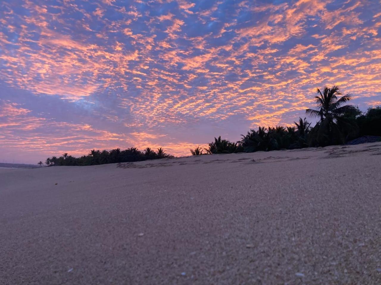 Neem Jay Beach Resort Tangalle Exterior foto